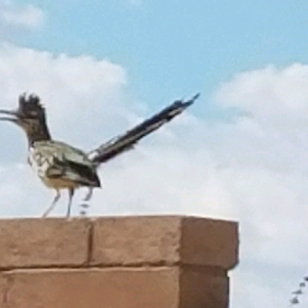 Meet your Posher, Heidi